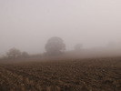 [Mist on the fields]